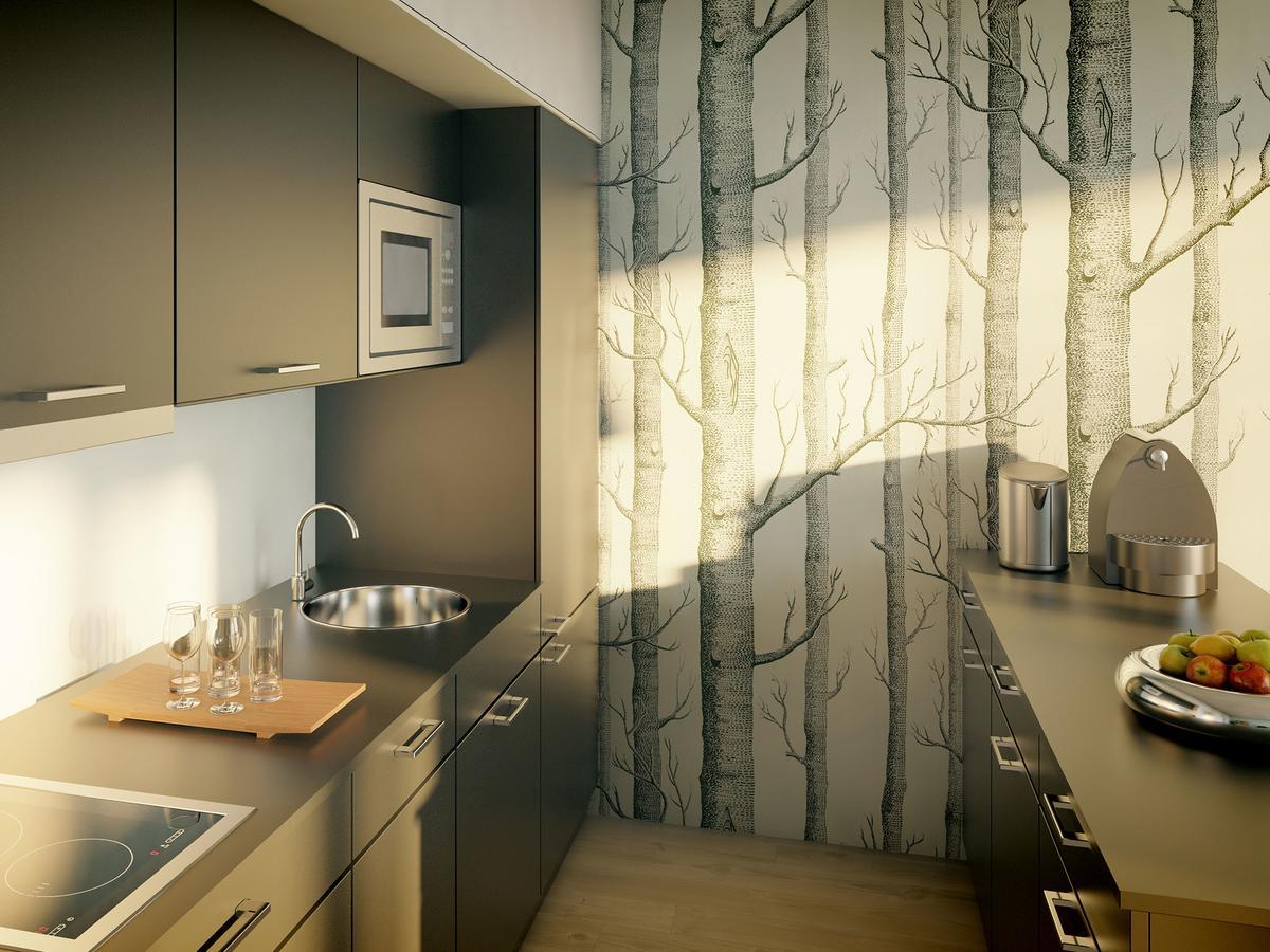 Apartmán Krásná Lípa č. 1 Exterior foto